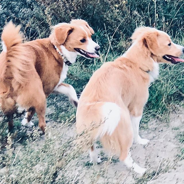 Fiebie en zusje Pien 💗💗