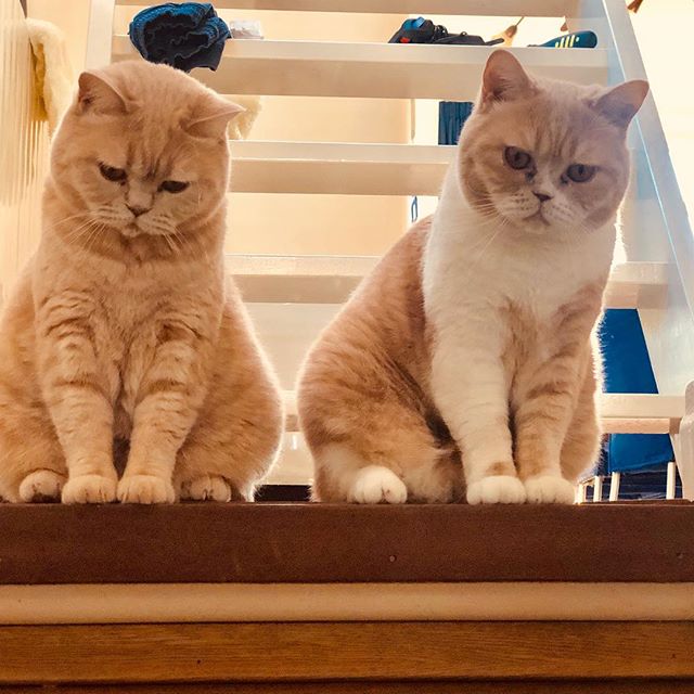 Jet en Koosje Veenendaal.