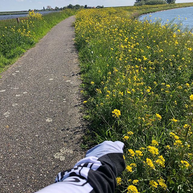 Fris, dus lange mouwtjes maar man, wat kan ik het iedereen aanraden deze dagen de polder in te gaan. Gele bloemen overal, reigers die een stukje met me meevlogen, kop in de wind, kop leeg, trappen maar. #cycling #bikelife