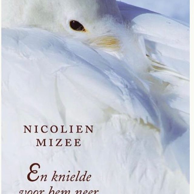 Hele nacht doorgelezen, zo prachtig ❤️. Dank voor je tip @jannekedebijl #enknieldevoorhemneer #nicolienmizee